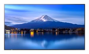 Large Format Display - Multisync P656 - 65in - 3840x2160 (uhd)