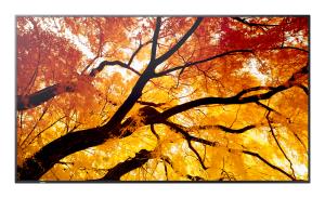 Large Format Monitor - Multisync M752 - 75in - 3840x2160 (uhd)