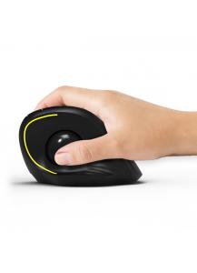 Mouse Ergonomic Rechargeable Bluetooth Track Ball