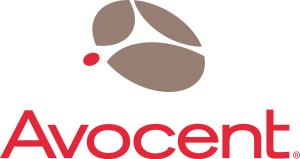 Avocent 1 Year Acs V6000 24 Port Silver Support (SCNT-1YS-VACS6K24)